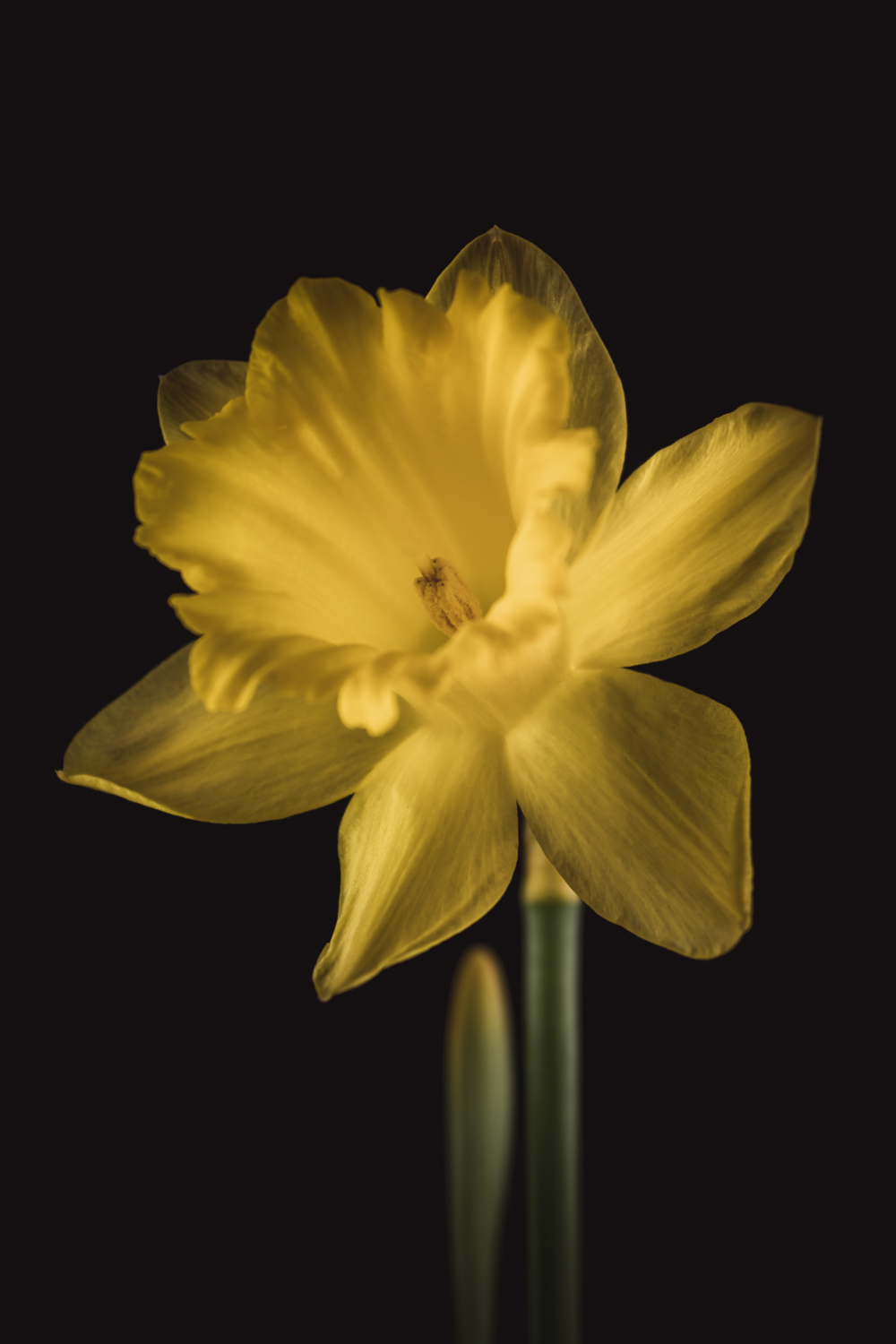 Bloemen voor een nieuw begin